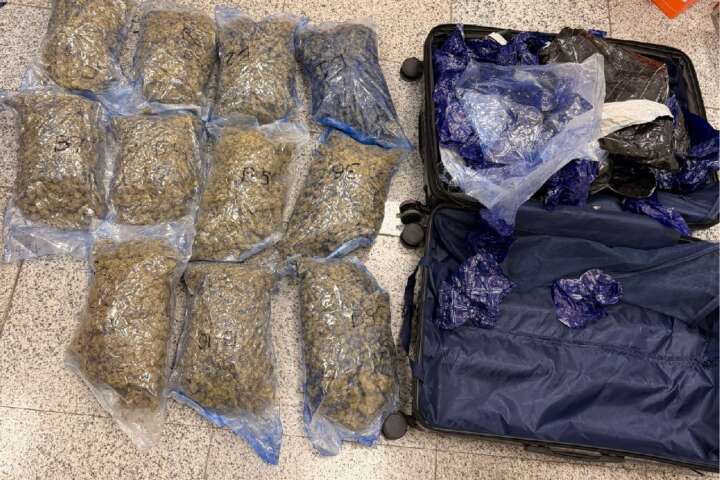 Hydroponic weeds worth Rs 8.9 crore seized at Hyderabad Airport..