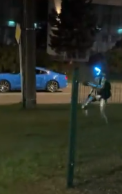 Edward the Robot vs. Wild Boars: Innovative Tech Solution in Poland