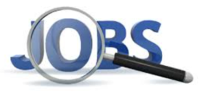 The AI Revolution: A CEO’s Warning to Software Engineers