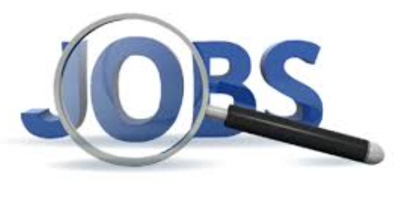 The AI Revolution: A CEO’s Warning to Software Engineers