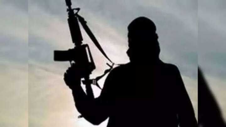 Pakistan tops Global Terrorism Index amid drop in terrorism deaths worldwide: Report