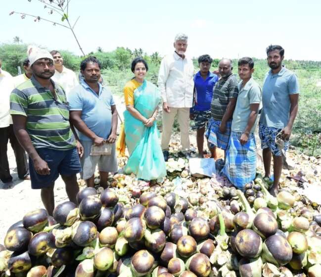 CM Naidu’s Kuppam Visit: Offering Silk Robes at Gangamma Temple and Enjoying Fresh Ice Apples by the Roadside