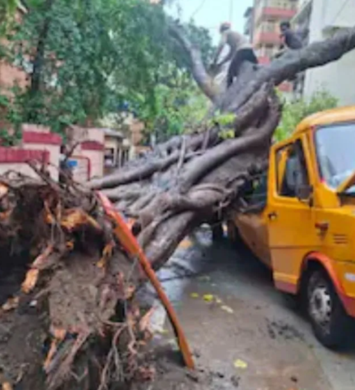 Massive Tree Crashes Onto School Bus