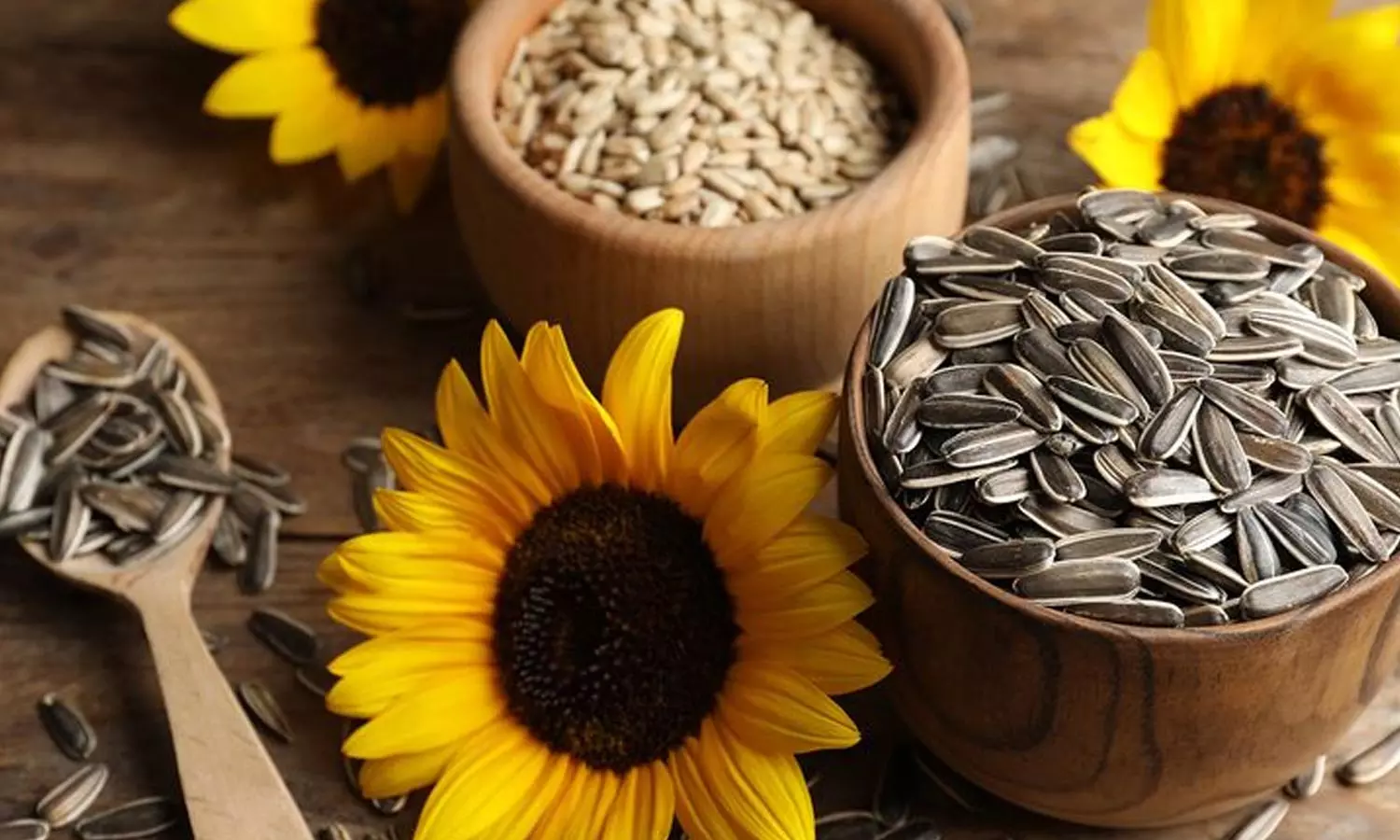 Sunflower Seeds: A Tiny Superfood Packed with Nutrients