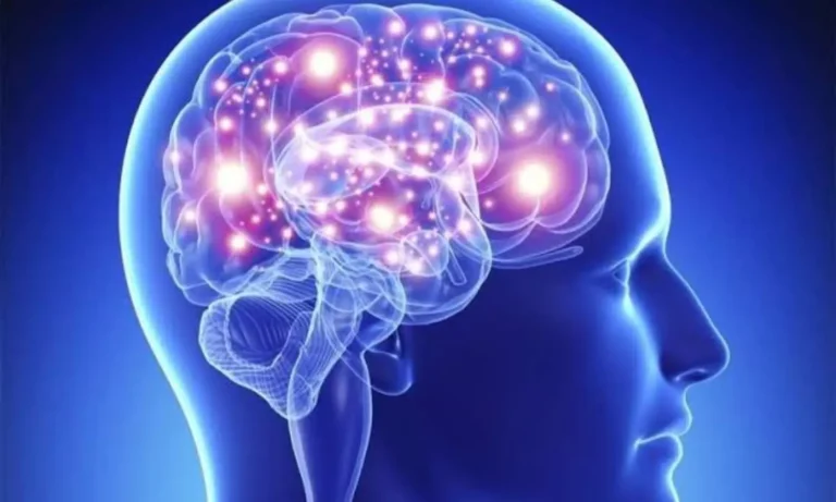 Facts about the brain: The 10 percent myth is false