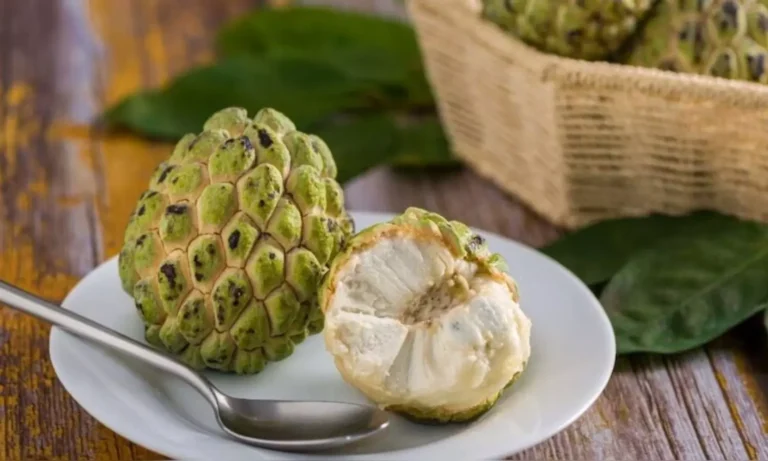 Can People with Diabetes Eat Custard Apple? Here’s What Experts Say