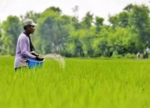 Rythu Bharosa Funds Released: Check Your Account Status and What to Do If You Haven’t Received Them