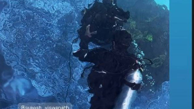 Rashmika Mandanna Performs Intense Underwater Action for ‘Mysaa’