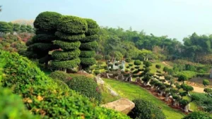 Telangana Government Plans Major Boost for Eco-Tourism Sector