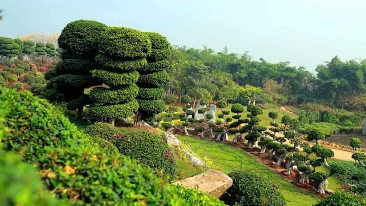 Telangana Government Plans Major Boost for Eco-Tourism Sector