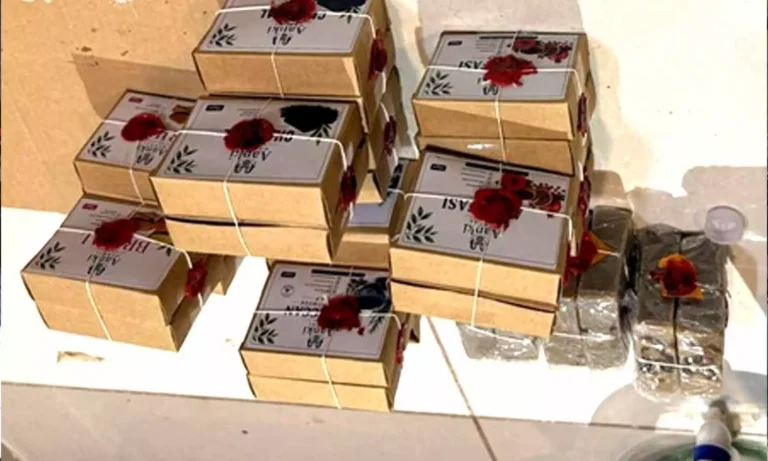 Gujarat FDCA Seizes Unlicensed Cosmetics Worth Rs 2.68 Lakh