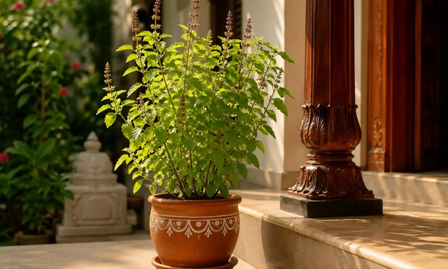 Monsoon Care Tips to Keep Your Tulsi Plant Healthy and Green