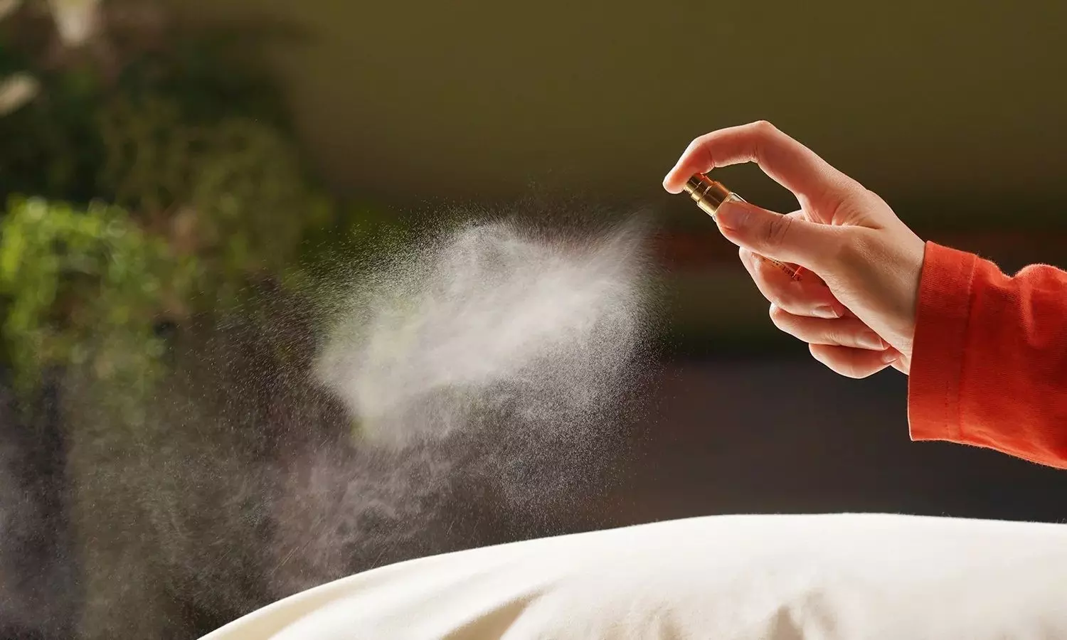 Air Fresheners May Affect Your Health: What You Need to Know