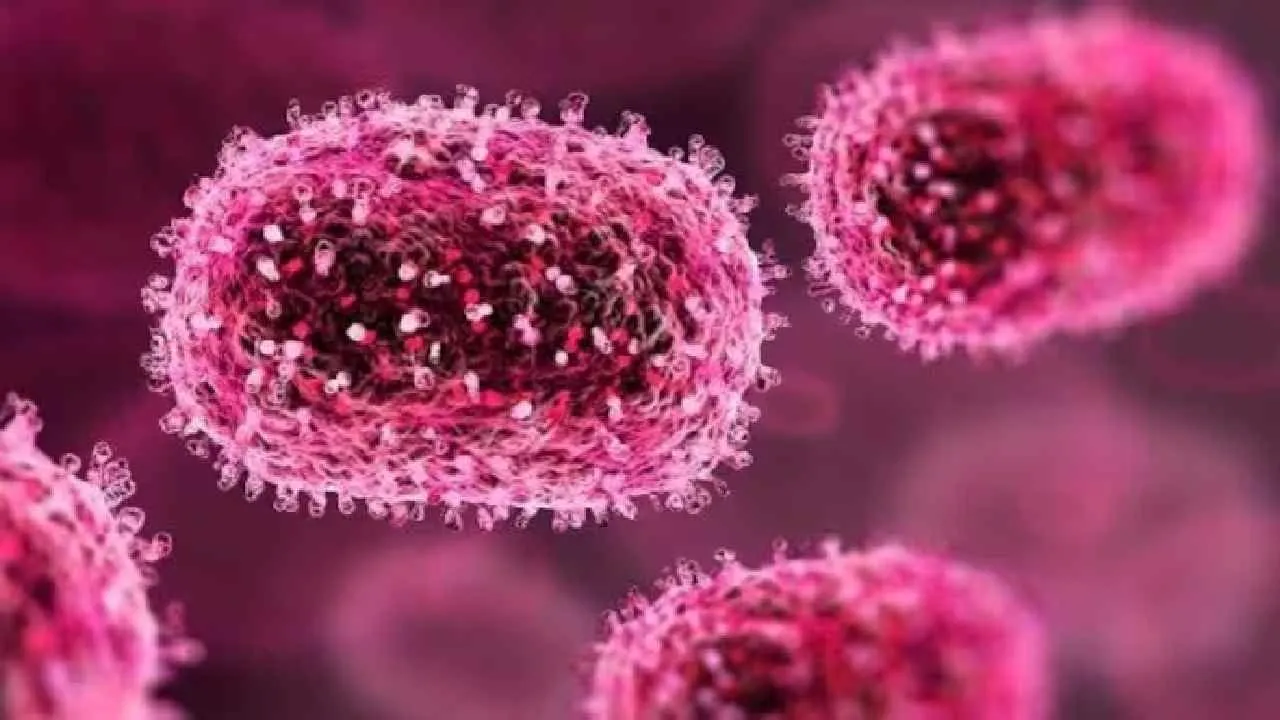Chandipura Virus Outbreak.. Children at Risk of Severe Brain Inflammation