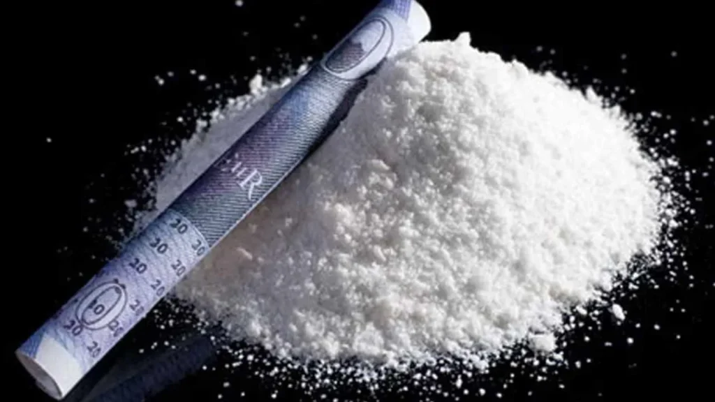 Mephedrone Seized: Drugs Worth Rs. 54 Crore Seized in Yadadri-Bhuvanagiri