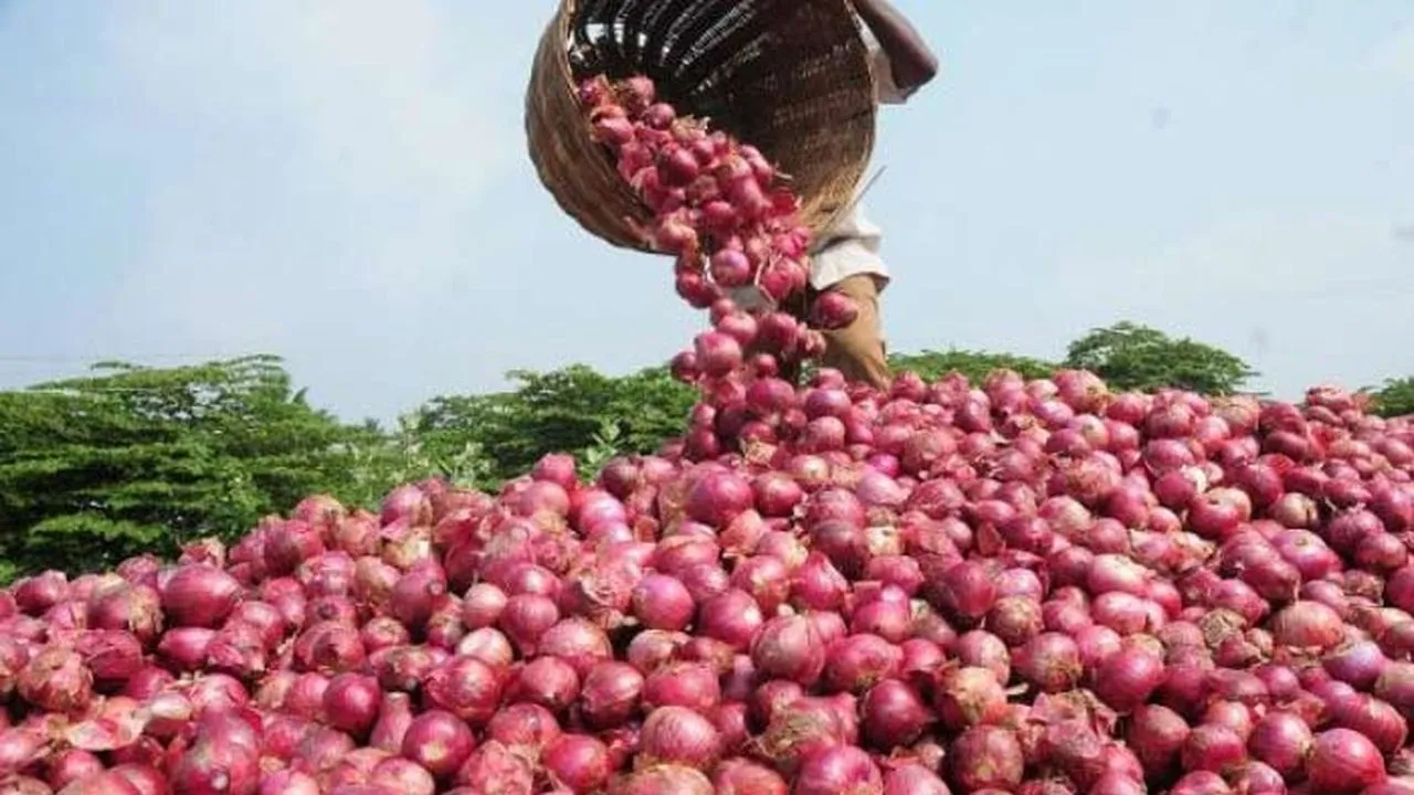 Andhra Pradesh Government Announces Measures to Control Essential Commodity Prices