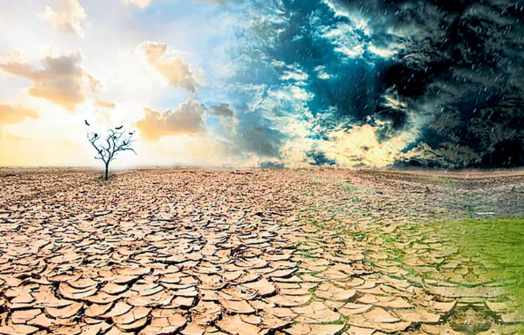 Severe drought conditions in 320 mandals of Telangana..