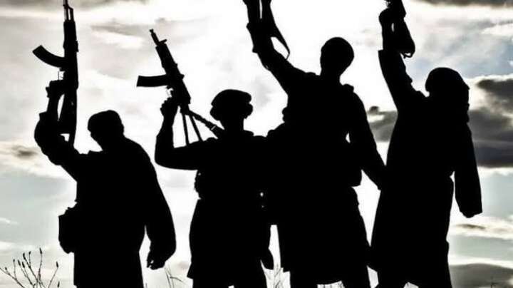 Al-Qaeda adopts pan-Islamist strategy to expand terror network in India..