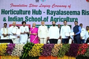 PM Modi has launched schemes for every farmer’s need: Nirmala Sitharaman..