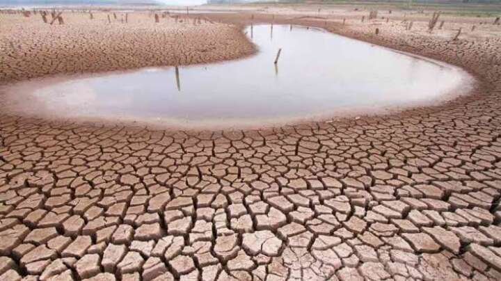 Northeast logs lowest southwest monsoon rainfall since 1901: IMD..